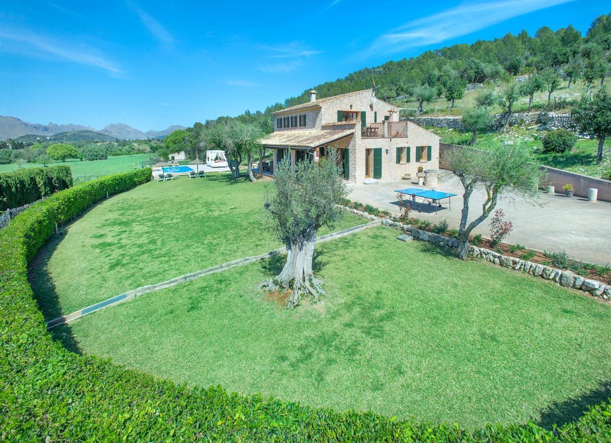 Owl Booking Villa Siquier - Luxury Retreat With Mountain Views بويينسا المظهر الخارجي الصورة